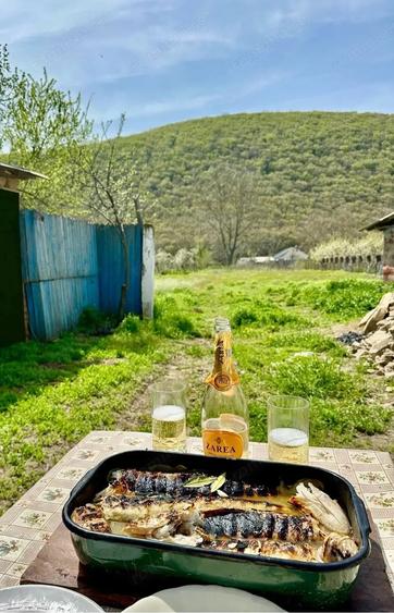 Casa de Vanzare cu teren, Rau ?i Fantana 2000 mp - 3