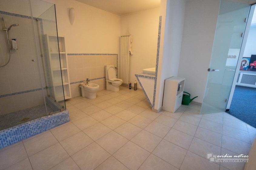 Hale cu deschidere la drumul european - 12