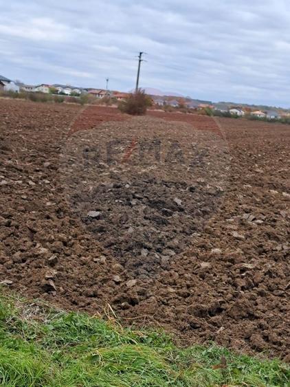 Vanzare teren intravilan construibil Corbeanca, Ostratu, Strada Scolii - 3