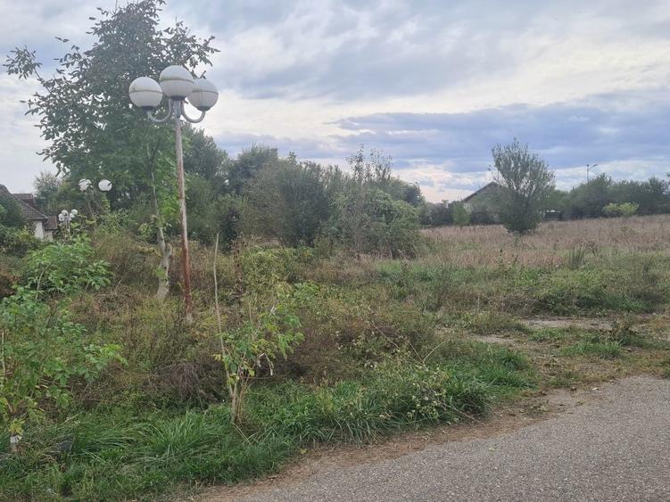 Vand teren 2700 m industrial Bacia - 1