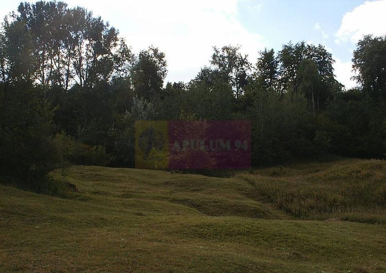 Teren intravilan de vanzare in Telega - 21