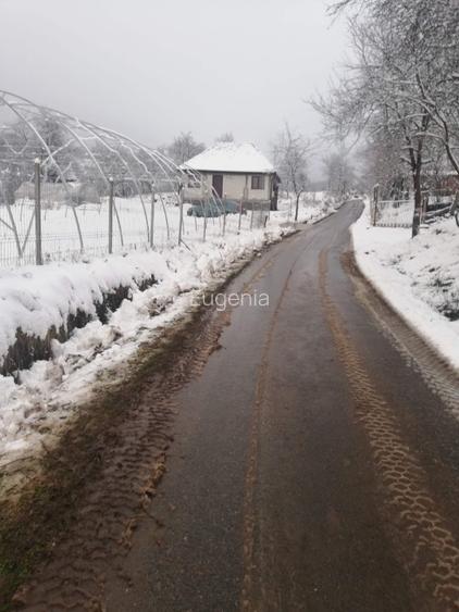 Vand casa batraneasca sat Trestia