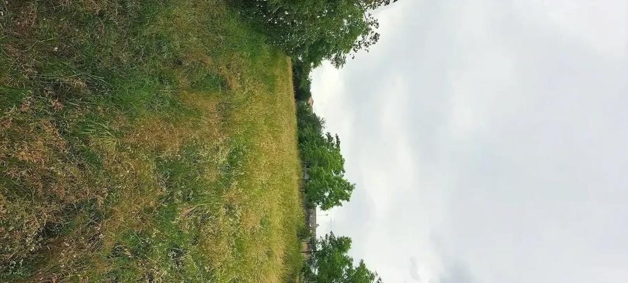 Teren intravilan de vanzare - 3