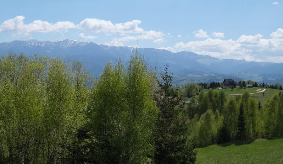 Vanzare 1266 mp teren superb Cheile Rasnoavei la munte langa padure si pensiuni - 11