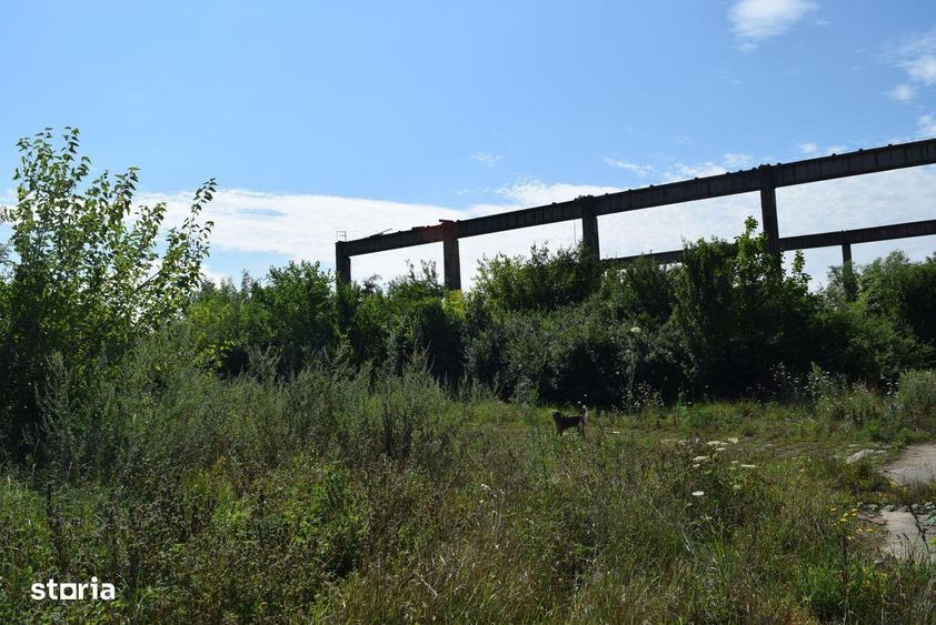 Proprietar vand teren ?i fabrica -Deta-Timis Oportunitate! Investitie! - 4