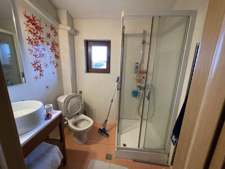 VILA P+1, Su = 350 mp.Teren 2000 mp + ANEXA,la DN 65- Valea Mare - 16