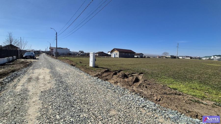 Teren de Casa 2480 mp cu utilitati- Oras Magurele - 6