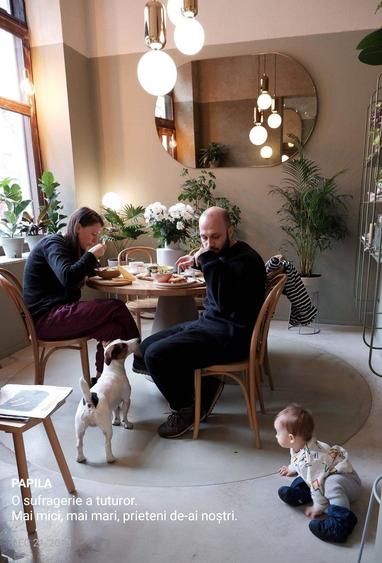 Vila istorica renovata Universitate - Pta Rosseti - 13