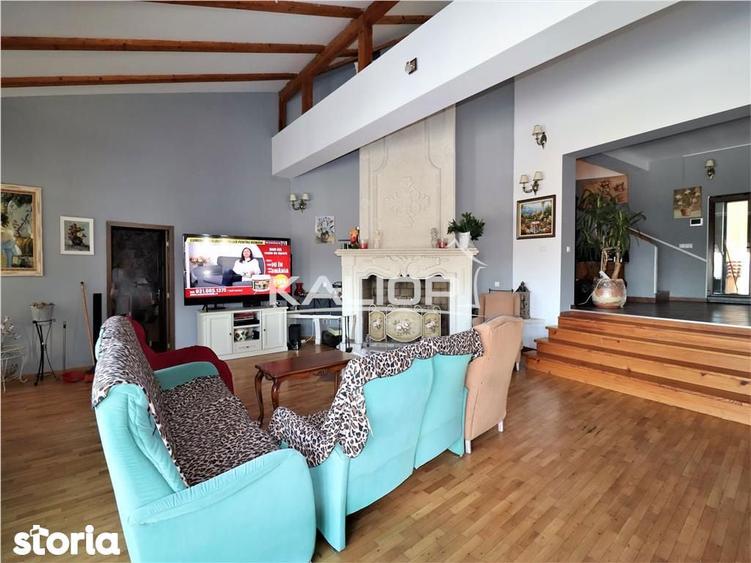 Casa individuala | 8 camere | 1200 mp | Piscina | Crama | Garaj | Fage - 11