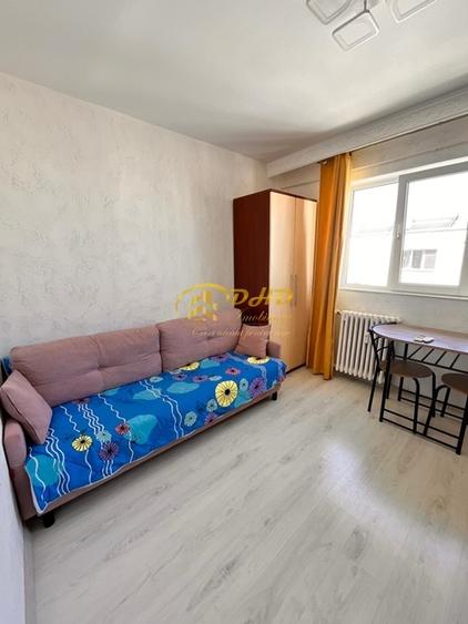 Camera Camin Bularga, Mihail Sturdza - 4