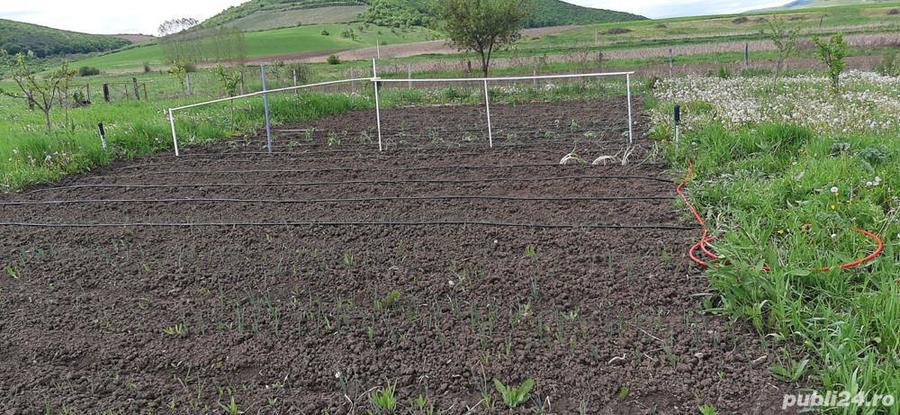 Vand casa de locuit, toate utilita?ile, lac de pescuit, gradina - 8