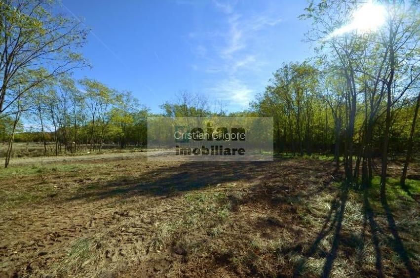 Snagov Ciofliceni Mânastire- Teren 1432 mp, d 60 m, curent gaze asfalt