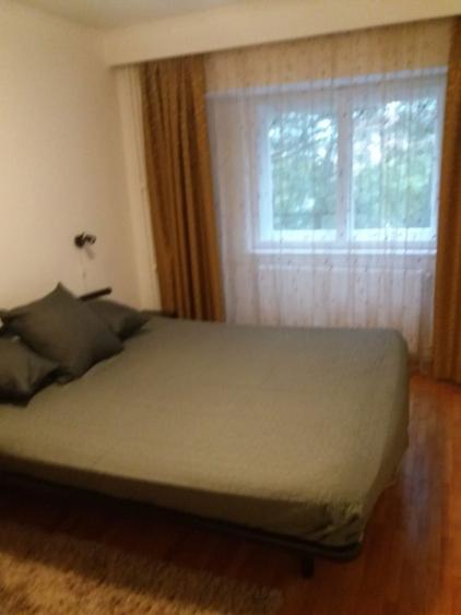 Apartament 2 camere zona Dacia - 2