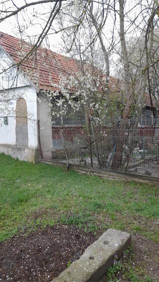 Teren de 2800 mp, în Iosif