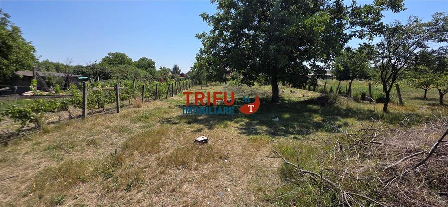 Casă individuală cu 3 camere cu Canalizare în Cricău