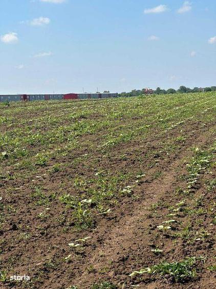 Teren de 7500 mp, în Găneasa