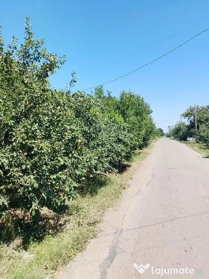 Casă cu 4 camere în Izvoarele