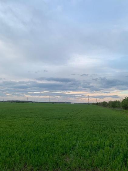 Teren Construcții intravilan de 30000 mp, în Ștefăneștii de Jos