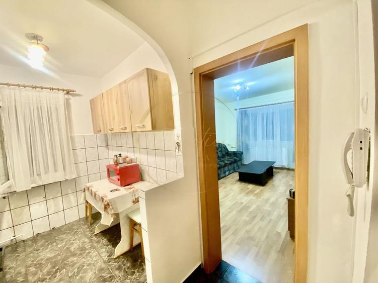 PRIVELIȘTE SPRE CENTRUL TIMIȘOAREI | Apartament 2 camere-Gheorghe Lazăr | OFERTĂ - 8
