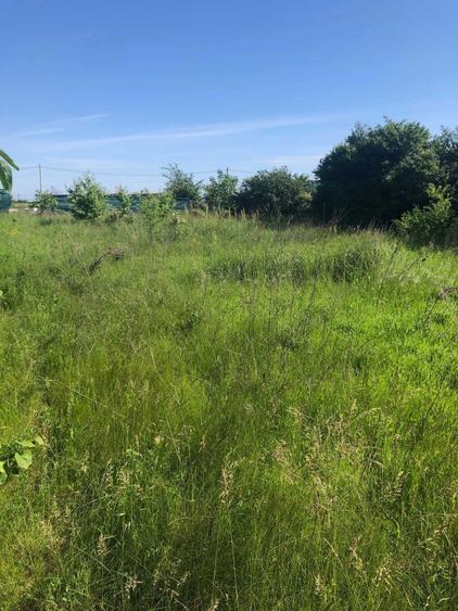 teren Ciorogarla pentru casa sau investitie - 5