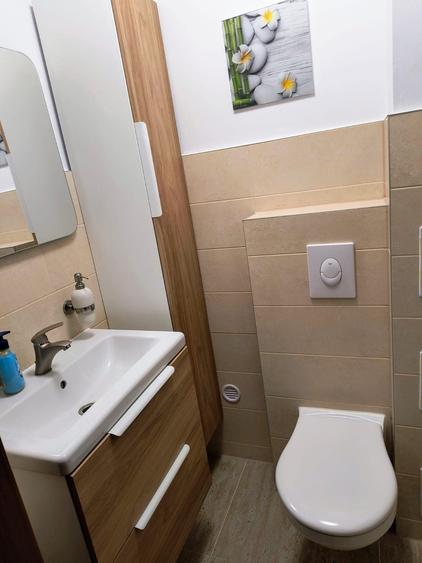 Casa individuala spatioasa, cu teren, Sura Mica - 7