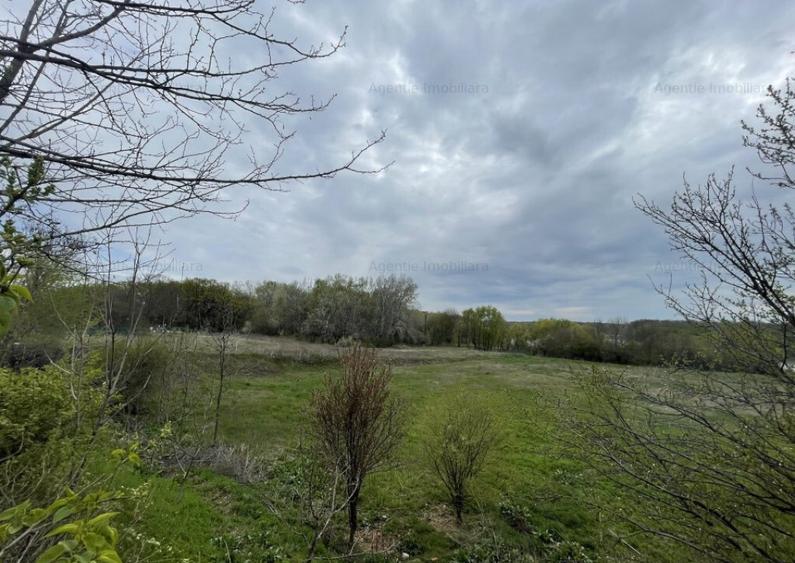 Teren Pantelimon - Cernica Baza Agrement - Deschidere LAC - 3