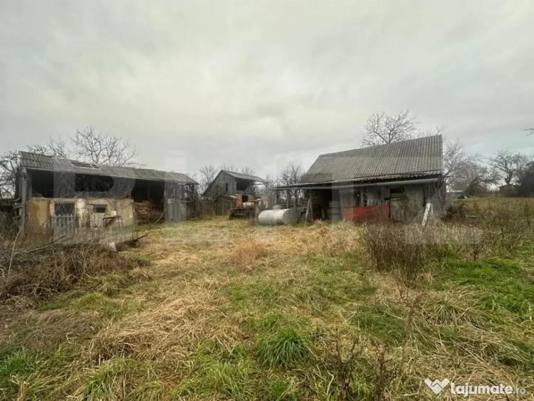 Casa cu teren generos de 6000 mp in Viile Satu Mare zo - 11