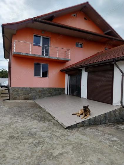 Vand casa individuala - 4