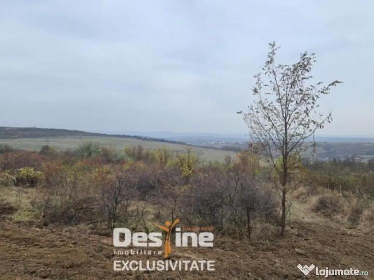 COMISION 0% CUMPARATOR Teren intravilan 900 mp3 toate utilit - 3