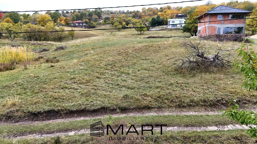 Teren intravilan 1250mp  cu PUZ in Cisnădioara - 5