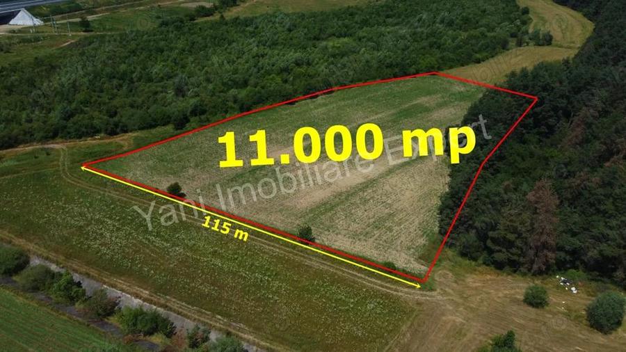 Teren de vanzare in comuna Baicule?ti, Judet Arge?. - 4