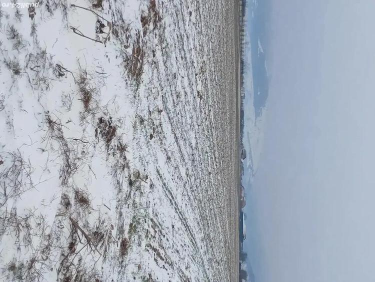 Teren extravilan in Carpini? - 1