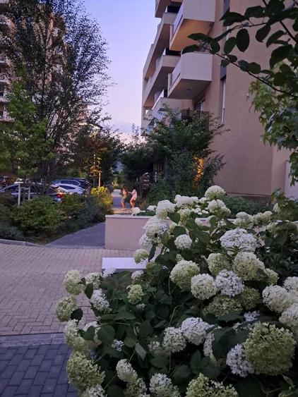 Inchiriez garsoniera Urban Plaza - 3