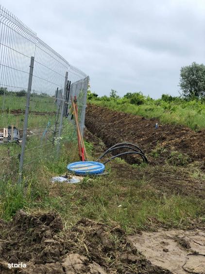 Teren intravilan Bucium 1000 mp, dealul Craitelor - 9