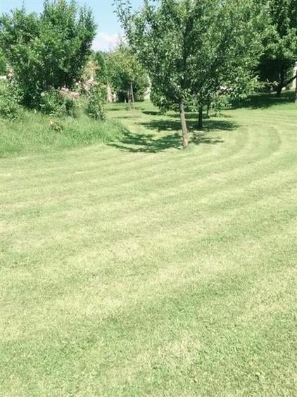 CLADIRI + 1 HA TEREN DE VANZARE PENTRU DEZVOLTARE BUSSINES - CAZARI, AGREMENT, A - 4