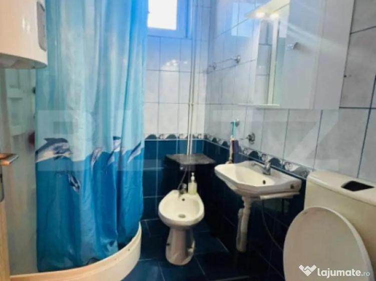 Apartament pentru vacan?a, 2 camere, 52 mp., Deda - 10