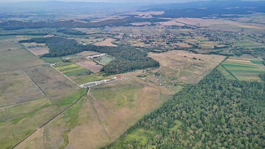 Teren Extravilan - 22