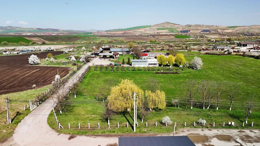 SE VINDE SAU SE INCHIRIAZA teren cu constructii Ludus - 7