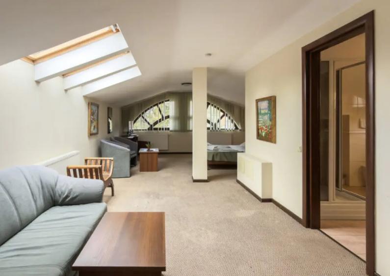 Pensiune de lux In Busteni - 9