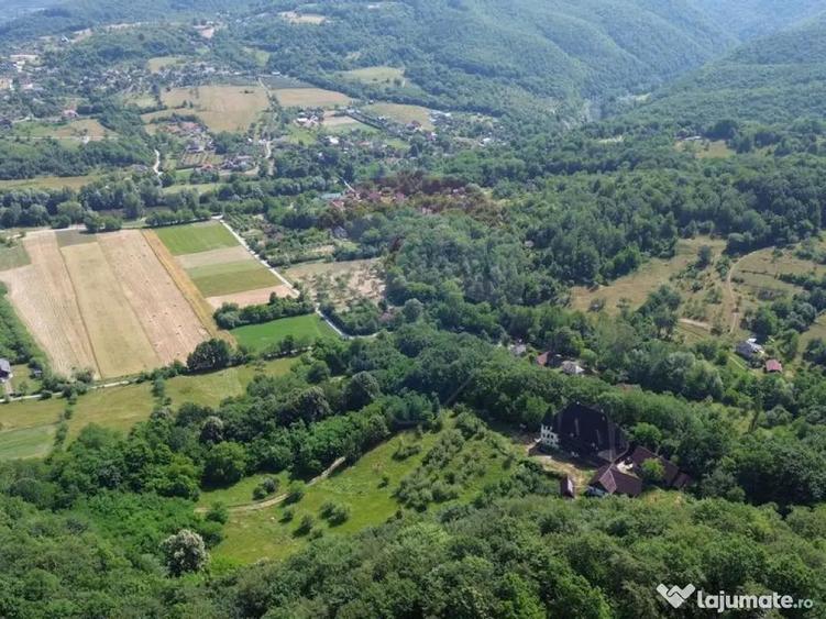 CASTEL DE VANZARE IN MARAMURES - 8