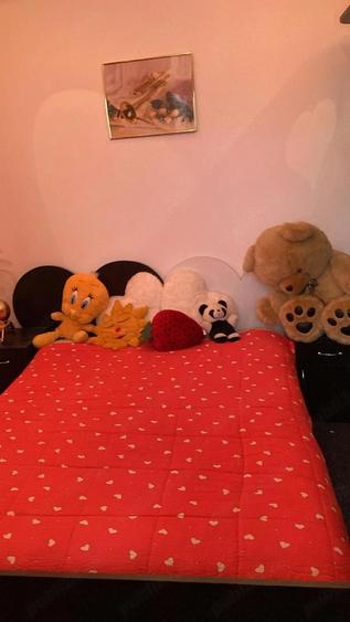 Vand apartament cu 2 camere Somcuta Mare - 7