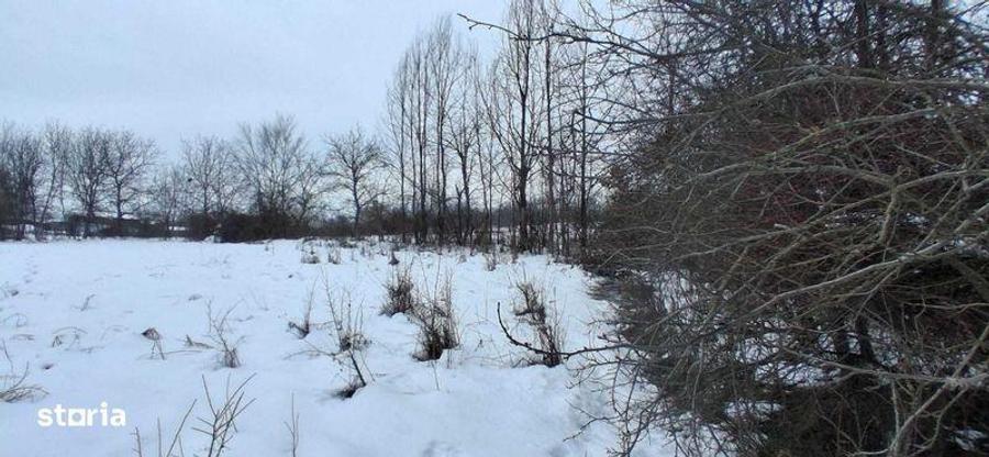 Oportunitate , teren intravilan 1.830 mp , D-31.5 ml - 4