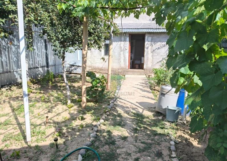 Casa 4 camere, Radu Negru, Teren - 264 mp - 10