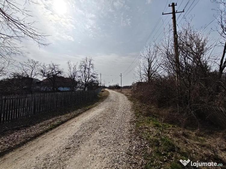 Teren Intravilan 1.472 mp Cotmeana - Linte?ti, Utilita?i la gard, langa Padure - 6