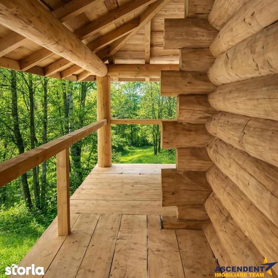 3.000mp de incantare montana cu cabana din lemn masiv, Zarnesti Tohani - 3