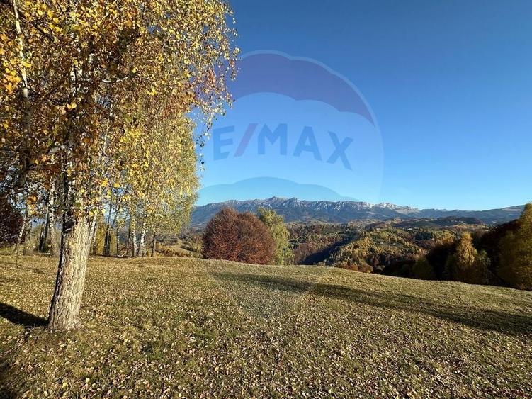 Oportunitate de investiție ! Teren de vis în Pestera - 125.370 mp - 1