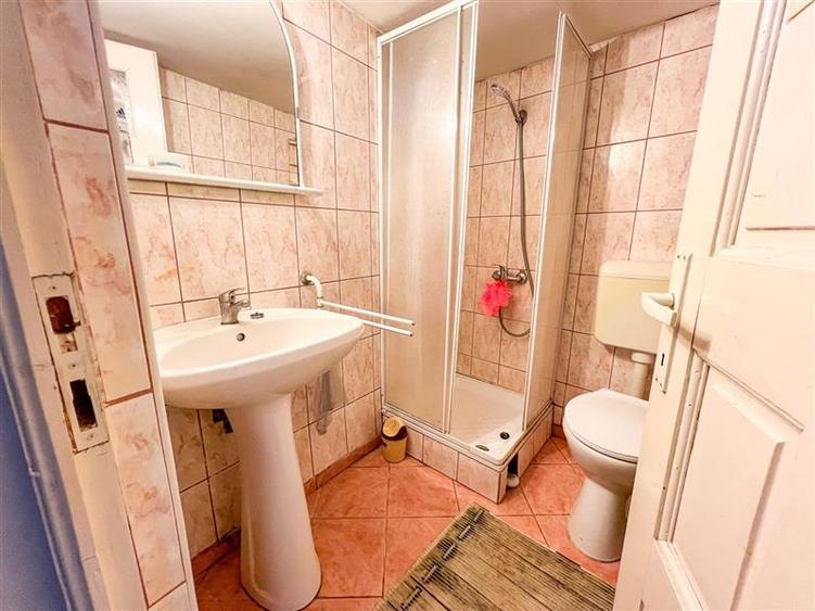 Casa primiroate in decor valoros si rodnic teren de 850mp, Ilieni, Covasna: FILM - 43