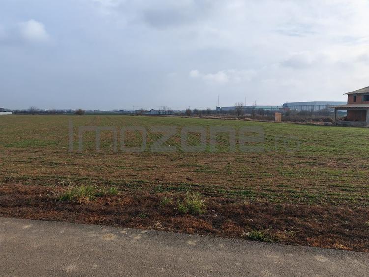 Dragomiresti Valea - Langa Centura, teren 31.200 mp, 35E/mp - 4