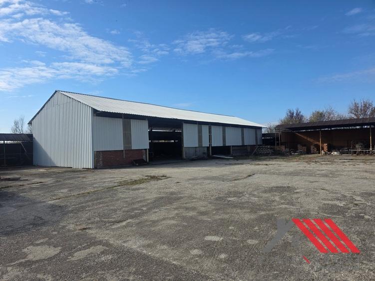 Cheveresul Mare – Platforma betonata, Hala - 1