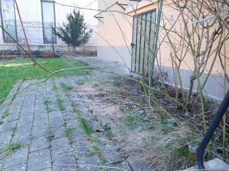 apartament in casa, zona centrala - 10